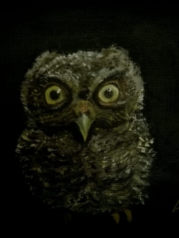 uilskuiken, olieverf