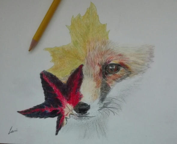 vos, potloodtekening