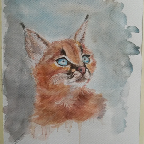 caracal kitten aquarel