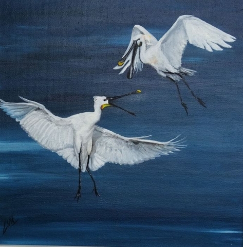 lepelaars olieverf (s)