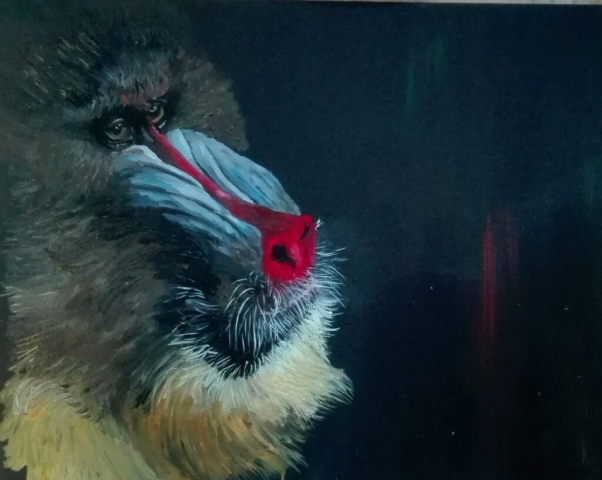 mandril portret olieverf