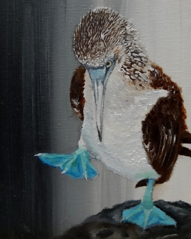 blauwpootgent olieverf