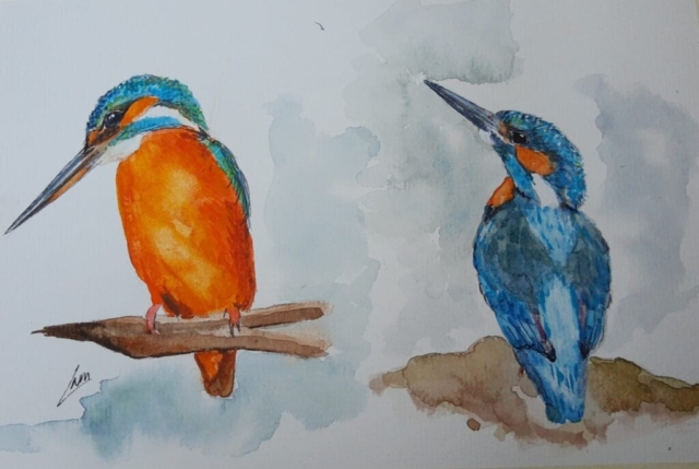 ijsvogel 2 aquarel
