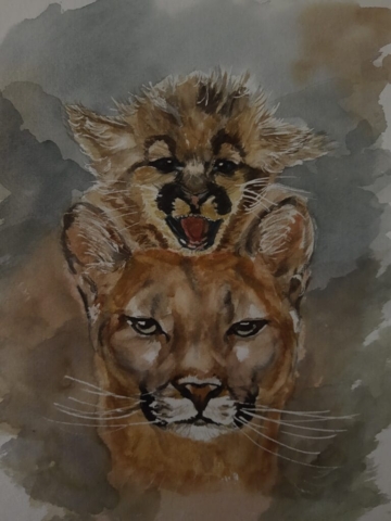 puma en kitten, aquarel