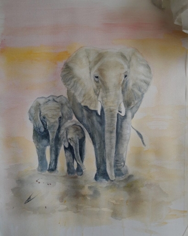 olifanten, 50_65 cm aquarel
