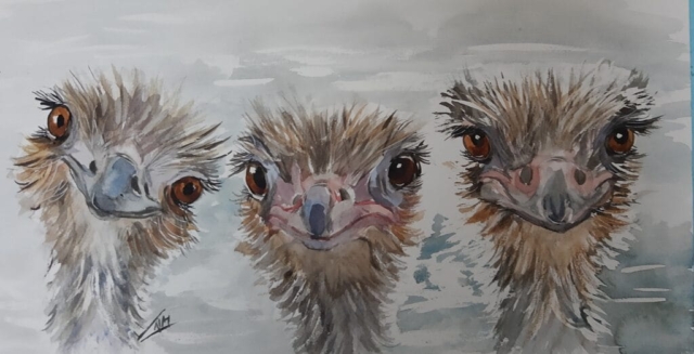 struisvogel trio aquarel